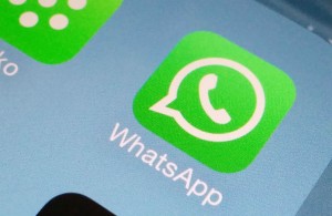 ciudad-viva-whatsapp-seguridad