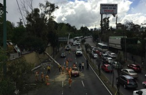 420 árboles caídos por fuerte viento en el DF