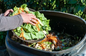 La Ciudad de México desperdicia 37% de los alimentos