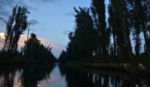 Día de muertos en Xochimilco, ayuda a San Gregorio