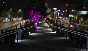 ecoducto-parque-lineal-viaducto